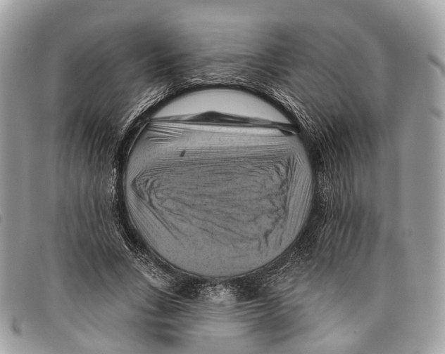 X0000097830735200804111039