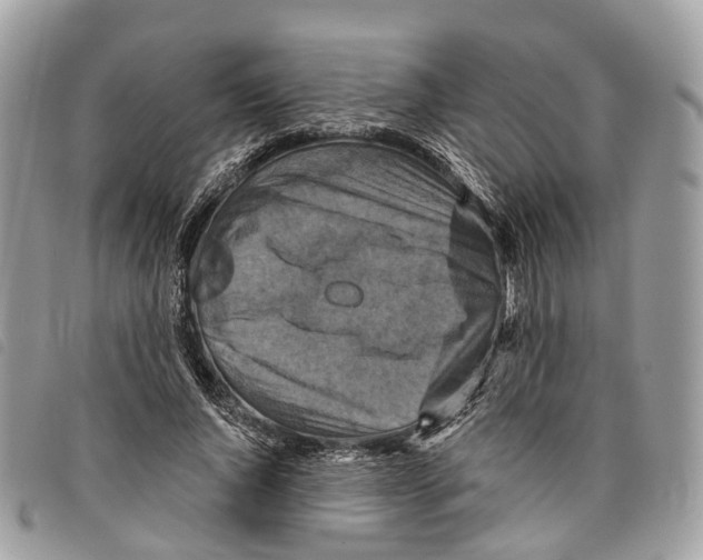 X0000097830736200804111039