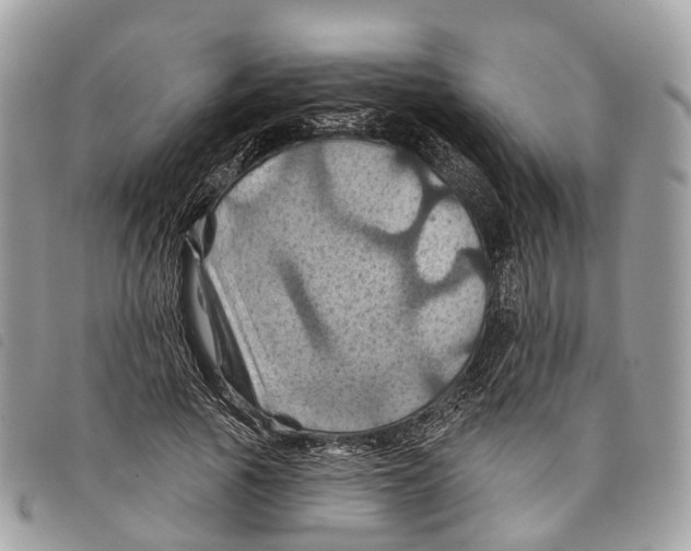 X0000097830737200804111039