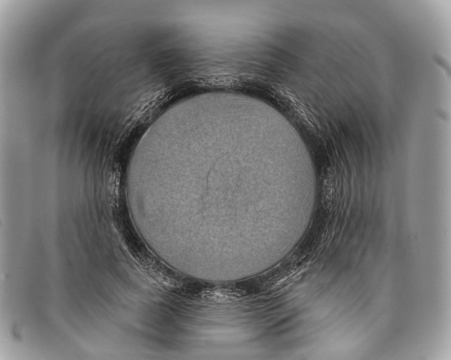 X0000097830739200804111039