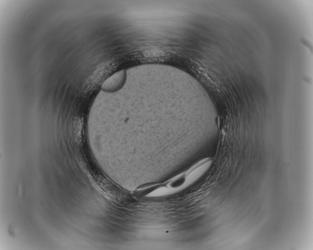 X0000097830742200804111039