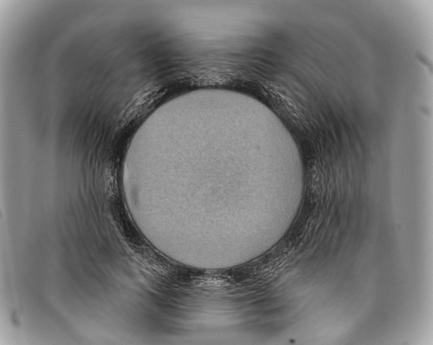 X0000097830743200804111039