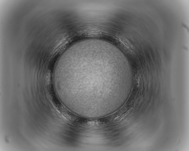 X0000097830744200804111039