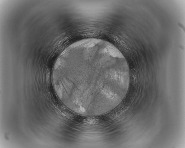 X0000097830745200804111039