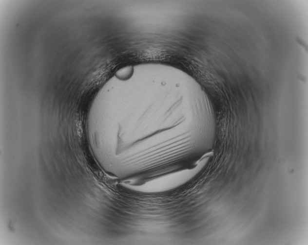 X0000097830746200804111039