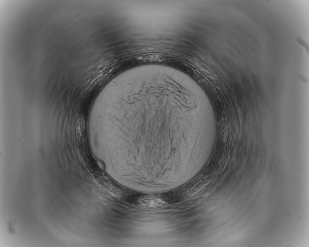 X0000097830747200804111039