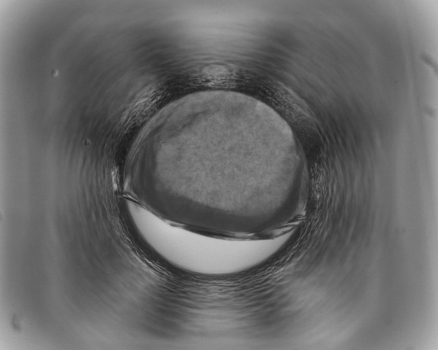 X0000097830748200804111039