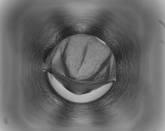 X0000097830750200804111039