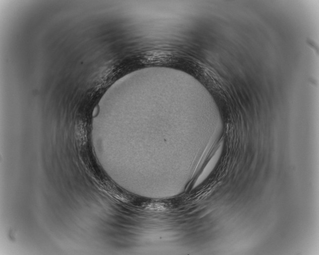 X0000097830751200804111039