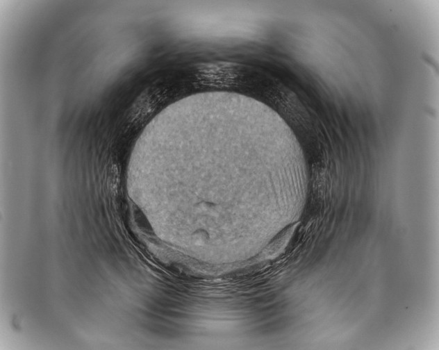 X0000097830752200804111039