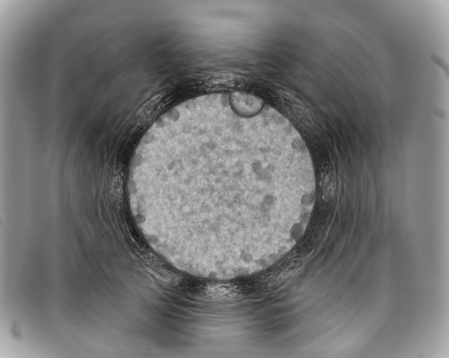 X0000097830753200804111039