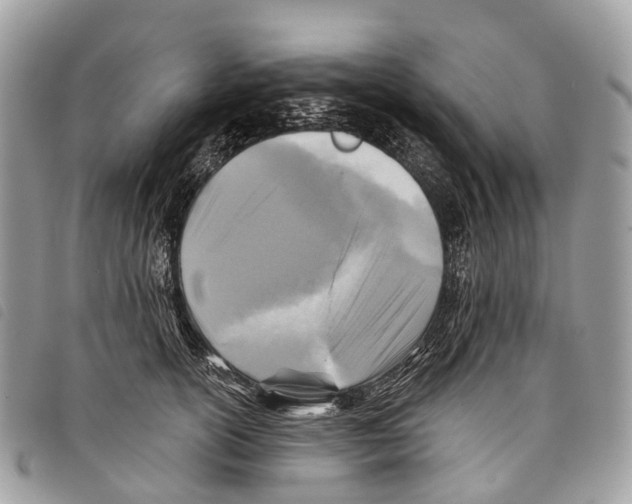 X0000097830754200804111039