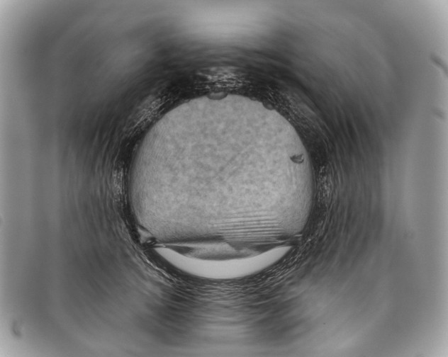 X0000097830756200804111039