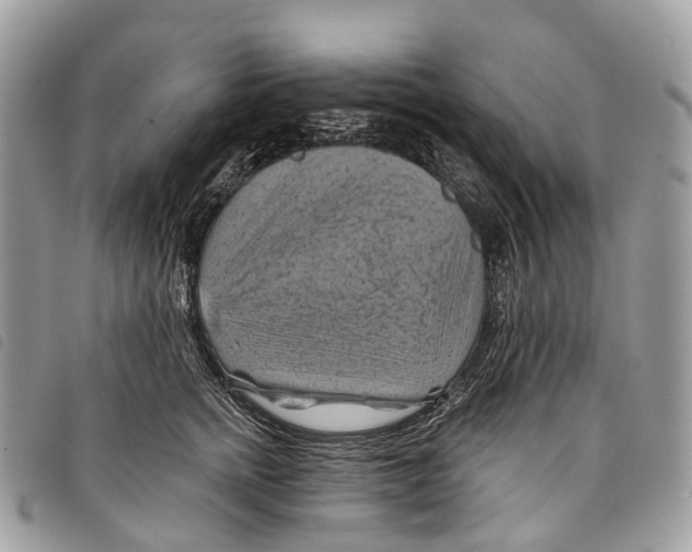 X0000097830758200804111039