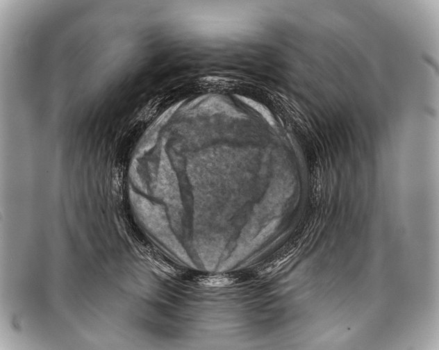 X0000097830759200804111039