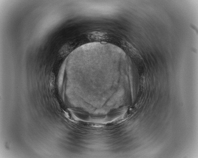 X0000097830760200804111039