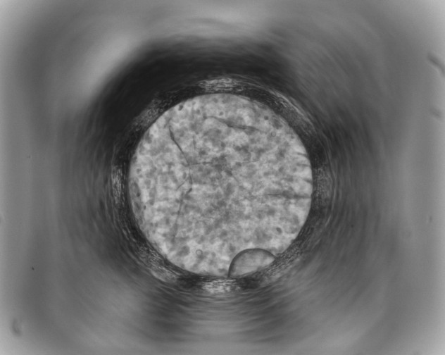 X0000097830761200804111039