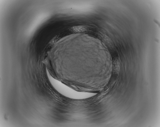 X0000097830762200804111039