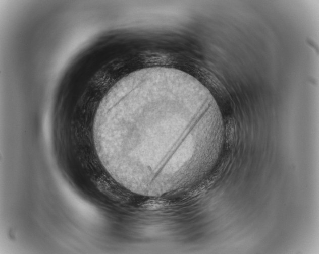 X0000097830764200804111039