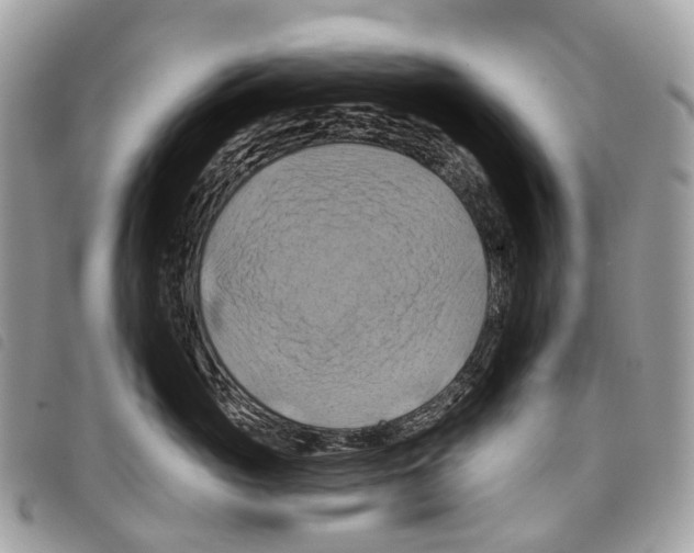 X0000097830765200804111039