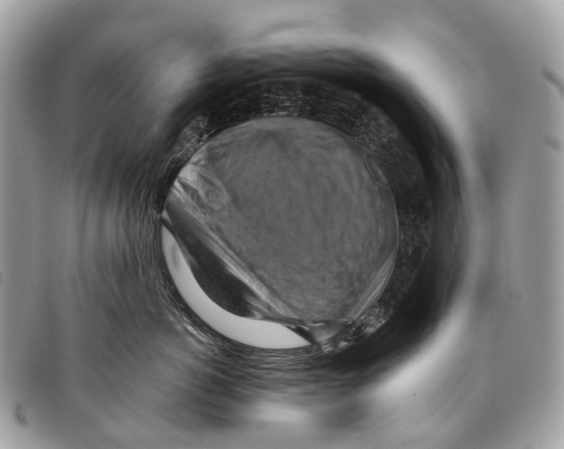 X0000097830766200804111039