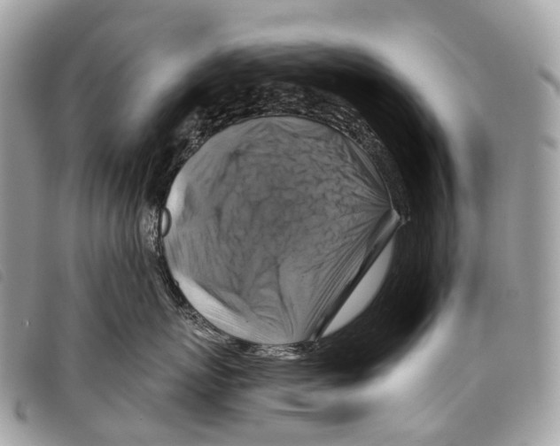 X0000097830767200804111039