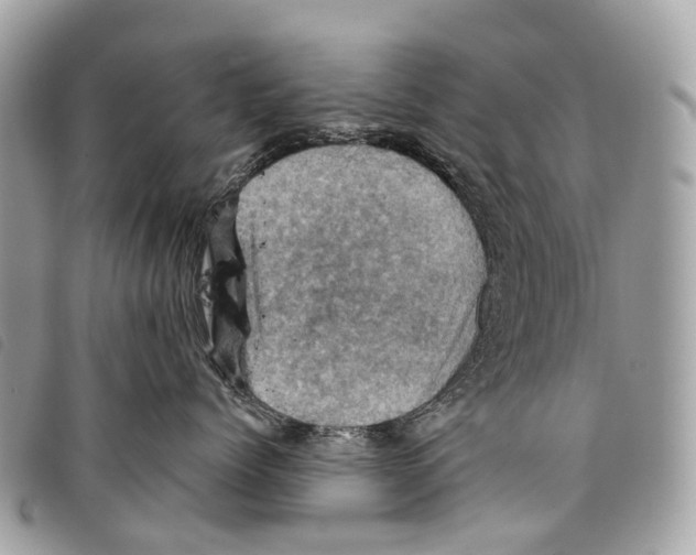 X0000097830768200804111039