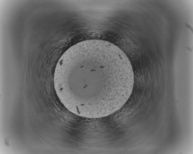 X0000097830769200804111038