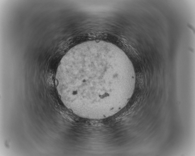 X0000097830770200804111038