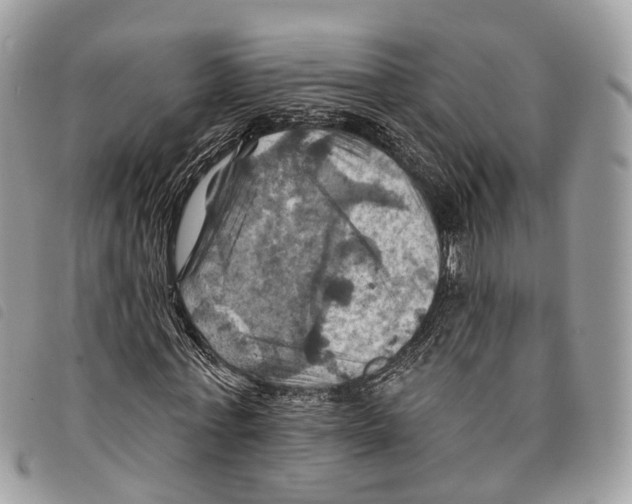 X0000097830771200804111038