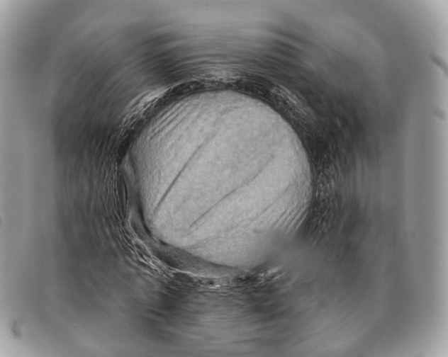 X0000097830773200804111038