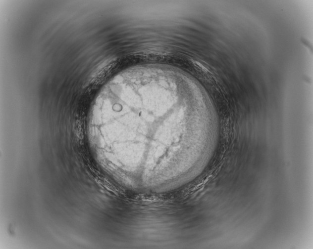 X0000097830774200804111038