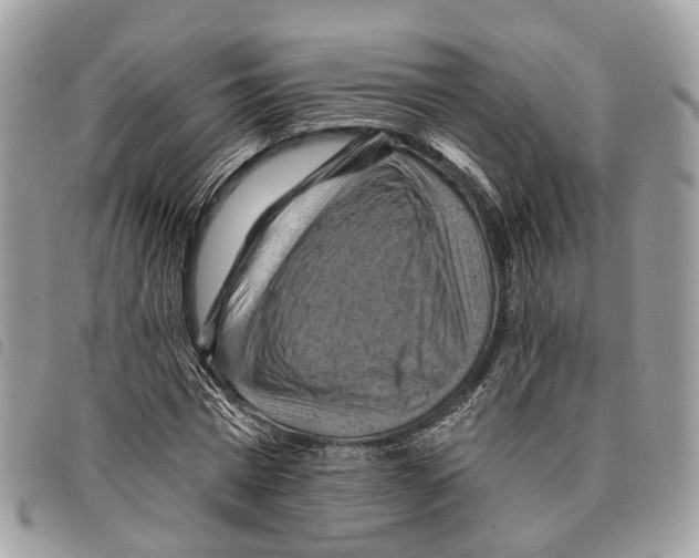 X0000097830777200804111038