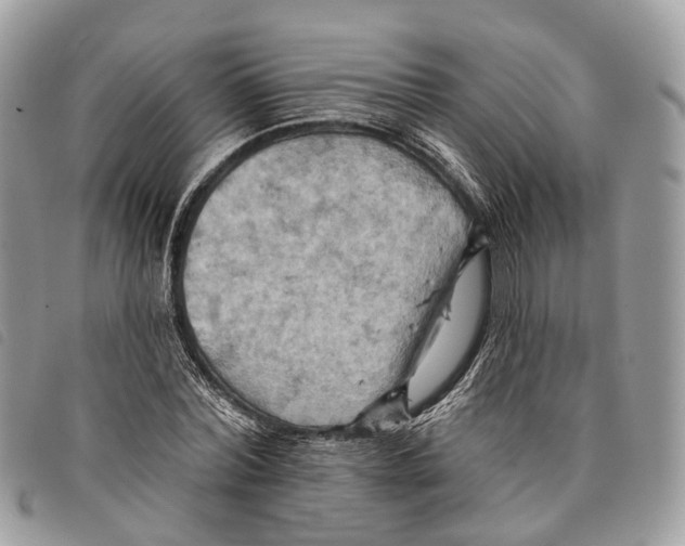 X0000097830780200804111038