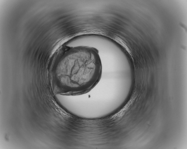 X0000097830781200804111038