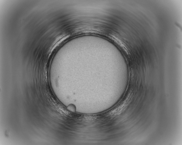 X0000097830782200804111038