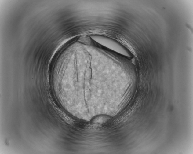 X0000097830784200804111038