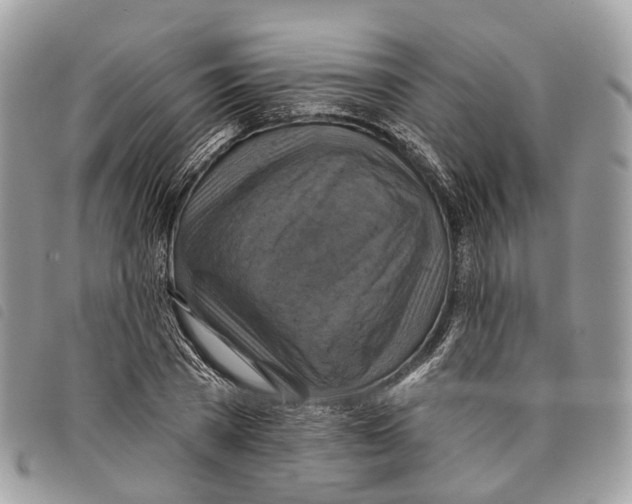 X0000097830785200804111038