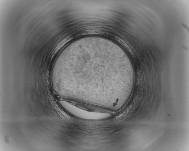 X0000097830786200804111038