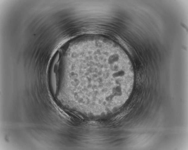 X0000097830787200804111038