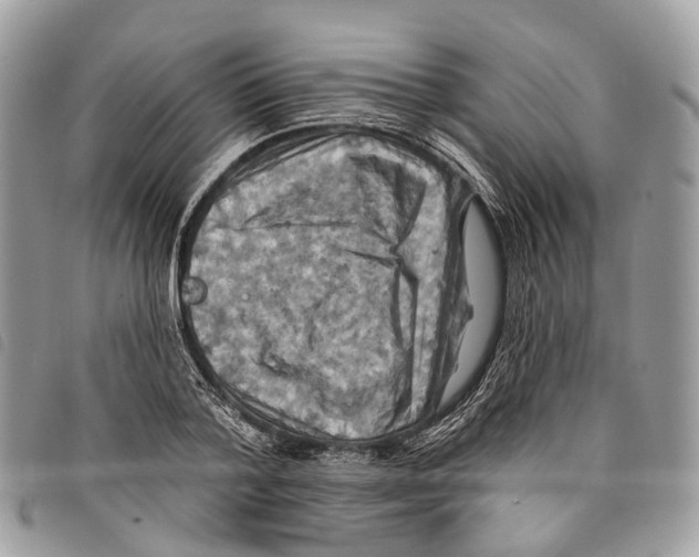 X0000097830788200804111038