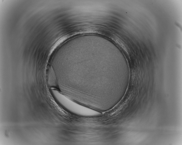 X0000097830789200804111038