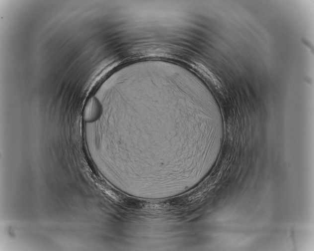 X0000097830790200804111038