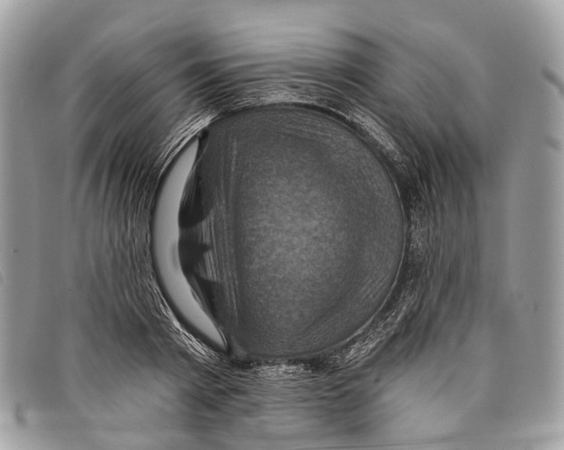 X0000097830793200804111038