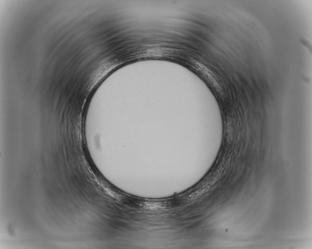 X0000097830794200804111038