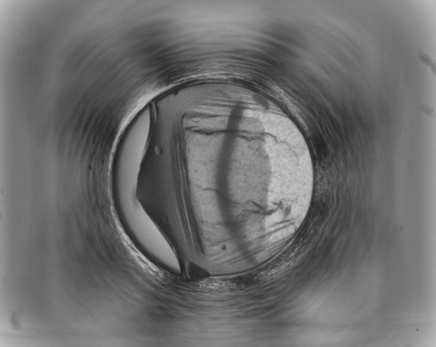 X0000097830795200804111038