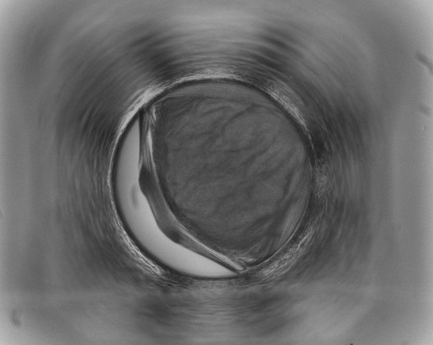 X0000097830797200804111038