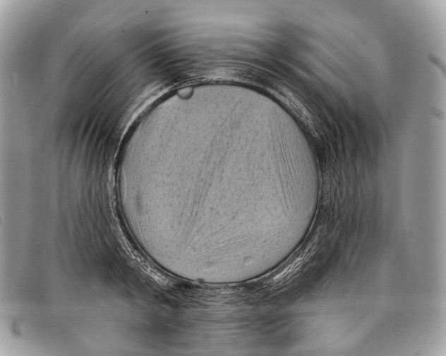 X0000097830798200804111038