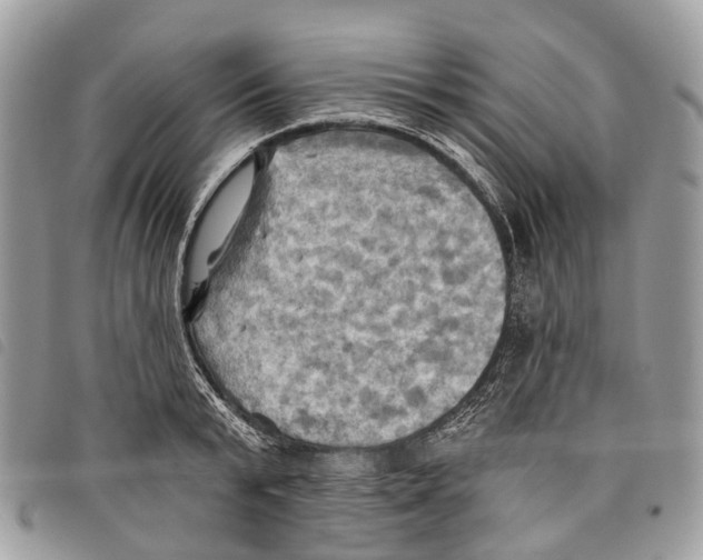 X0000097830799200804111038