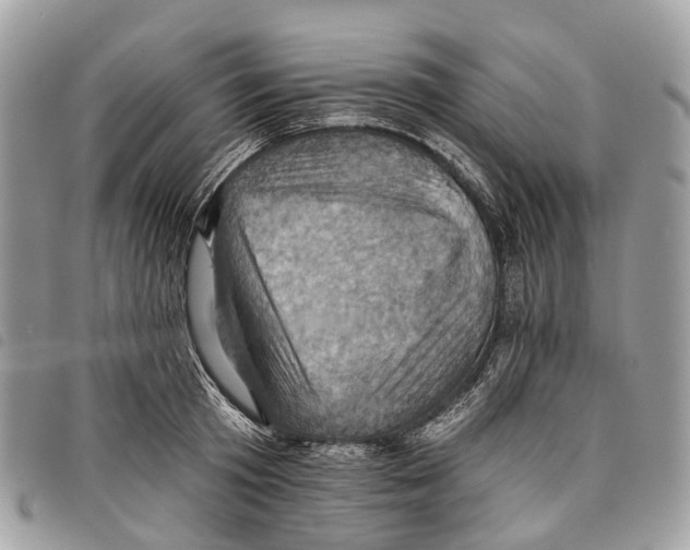 X0000097830801200804111038